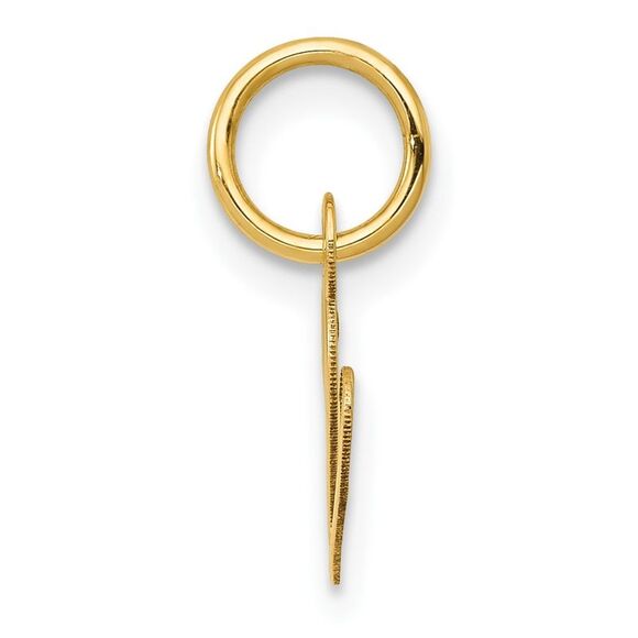 10k Yellow Gold Small Fancy Script Initial V Charm - Picture 2 of 4
